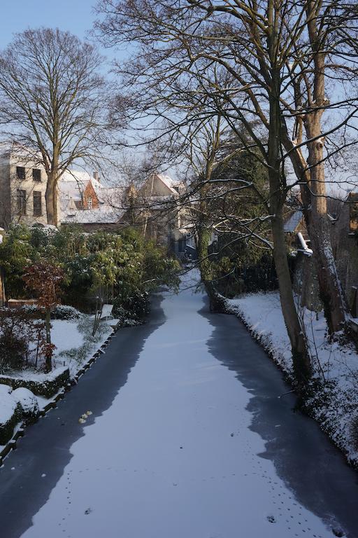 B&B Huis Koning Brugge Buitenkant foto